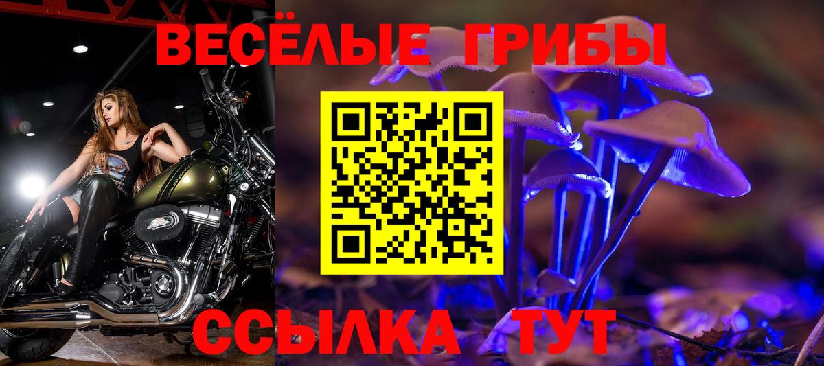 Псилоцибиновые грибы мухоморы Междуреченск